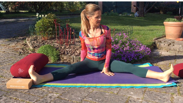 Mouvements MAKKO-HO dans le DO-IN