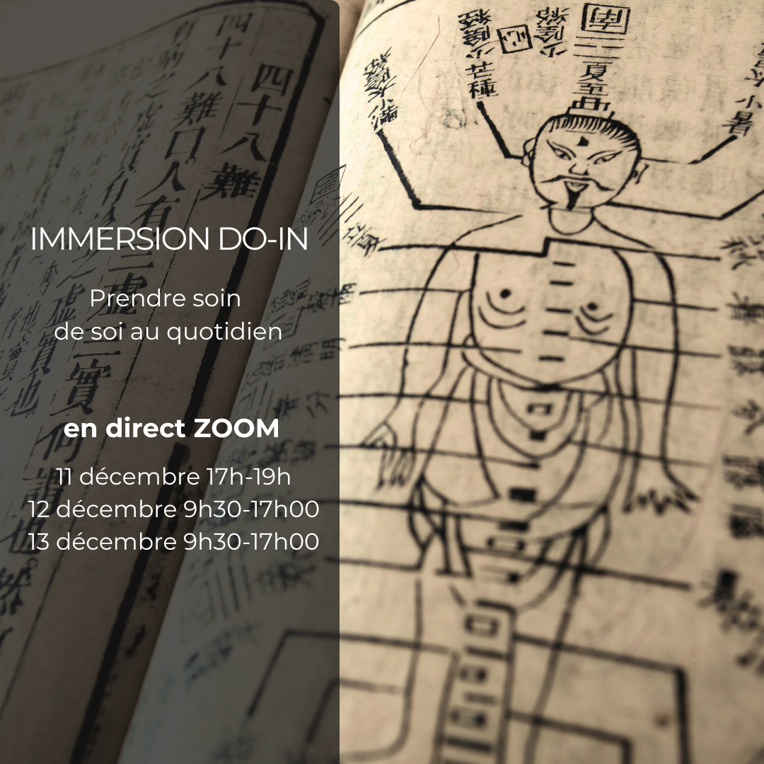 Immersion DO-IN  (Zoom) 2026