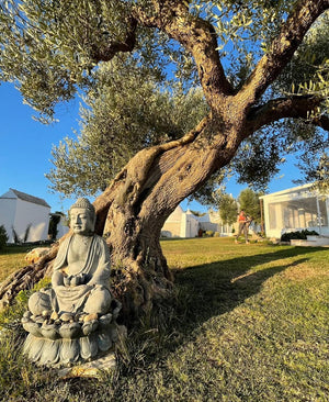 RETRAITE Pouilles  (Avril 2027)