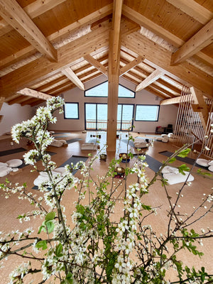 RETRAITE Yoga "Éclats"  (Juin)