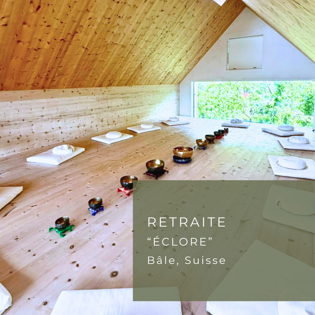 RETRAITE Bâle, Suisse (Mai 2028)