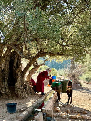 RETRAITE Atlas, Maroc (Avril)