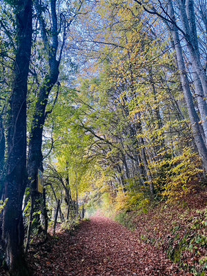 RETRAITE Chartreuse (Octobre)