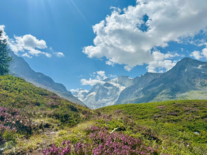 Randonnée & Méditation (Juillet)