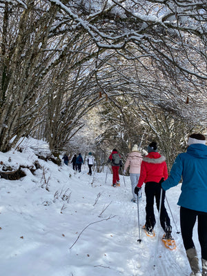 RETRAITE Chartreuse (Février)