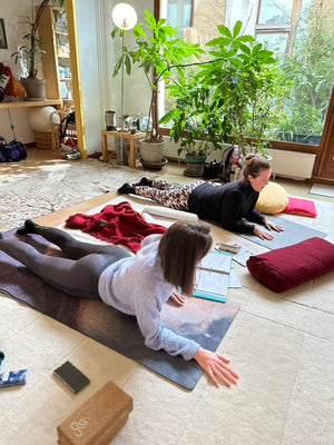 FORMATION Yin Yoga - Genève (ou Zoom)