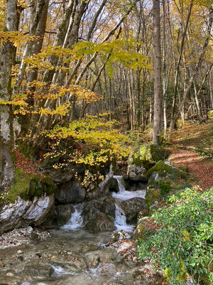 RETRAITE Chartreuse (Octobre)