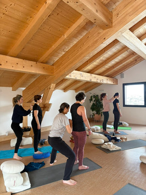RETRAITE Yoga "Éclats"  (Juin)