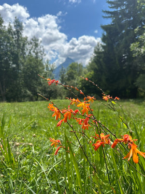 RETRAITE Haute-Savoie (Juillet)