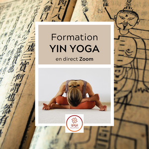 FORMATION Yin Yoga en ligne Fév.-Mars