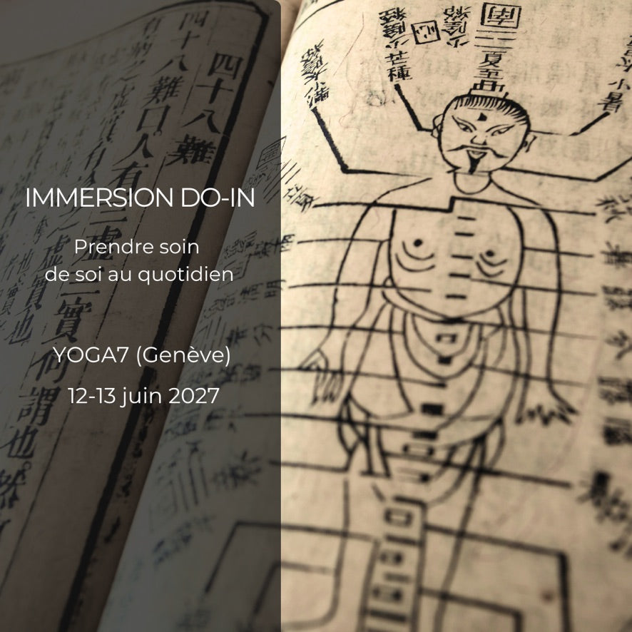 Immersion DO-IN  (Genève) 2027