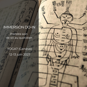 Immersion DO-IN  2027