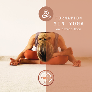 FORMATION Yin Yoga en ligne Déc.-Jan.-