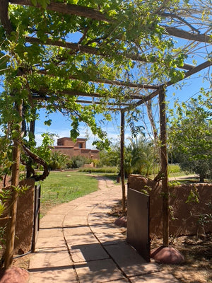 RETRAITE Traversée Atlas (Juil 2027)