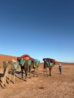 RETRAITE itinérante Sahara (Janvier)