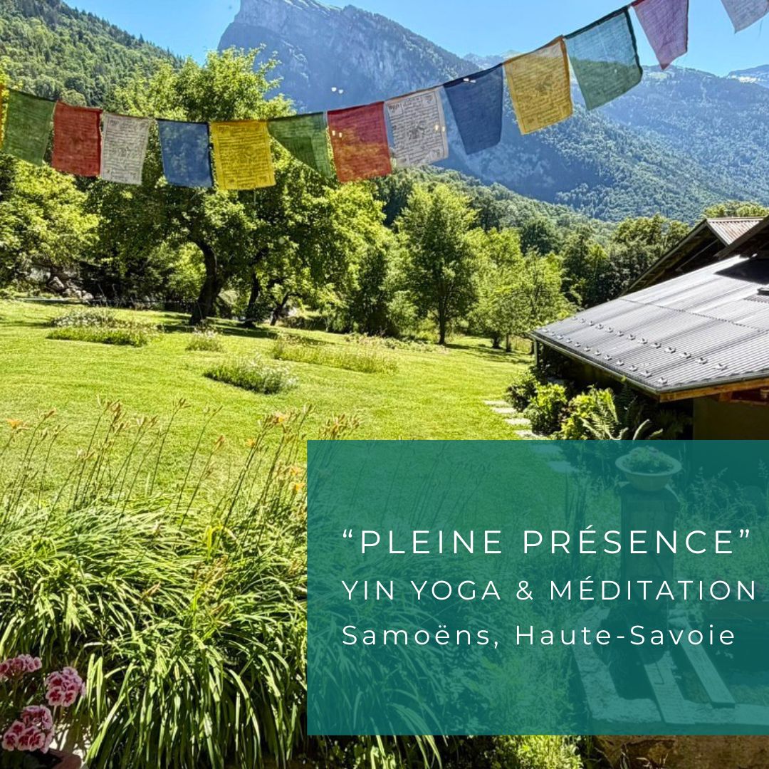 RETRAITE Méditation & Yin Yoga (Octobre)