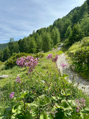RETRAITE Rando & Yoga  (Octobre)