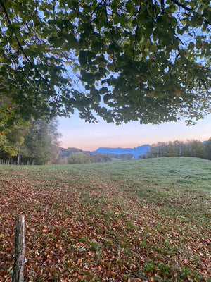 RETRAITE Chartreuse (Octobre)