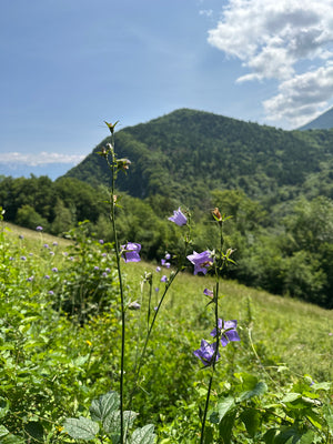 RETRAITE Chartreuse (Pentecôte)