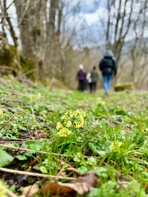 RETRAITE Haute-Savoie (Mars)
