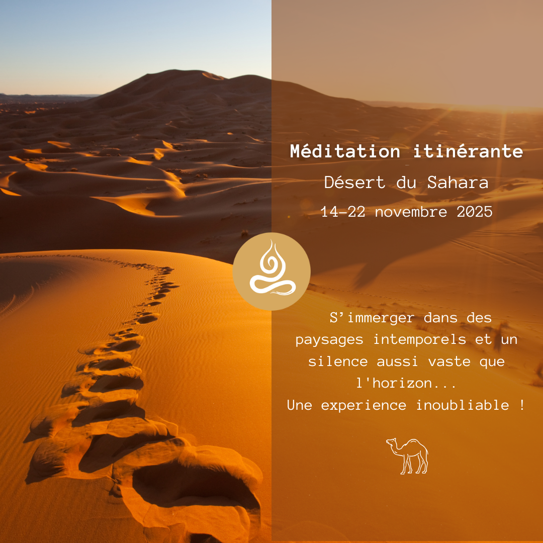 RETRAITE itinérante Sahara (Novembre)