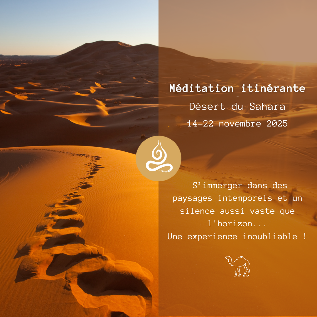 RETRAITE itinérante Sahara (Nov.)