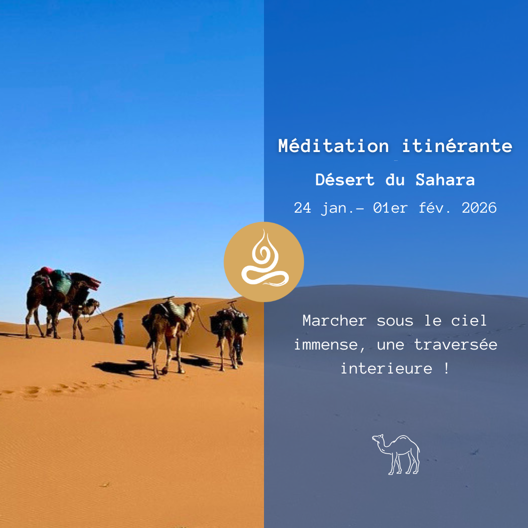 RETRAITE itinérante Sahara (Janvier)
