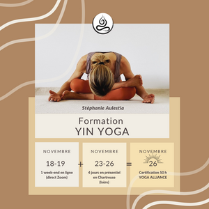 FORMATION Yin Yoga Novembre 2023 (Zoom + Chartreuse)