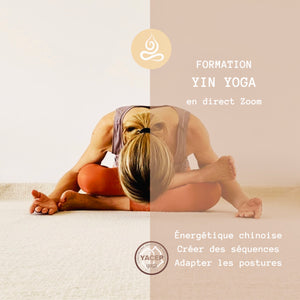 FORMATION Yin Yoga en ligne Déc.-Jan.-